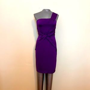 Banana Republic size 2 one shoulder purple dress